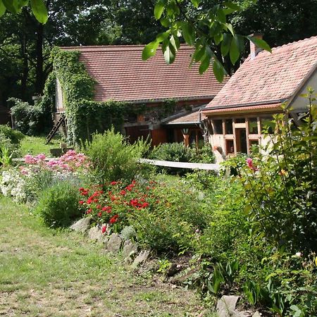 Poncet'Sches Herrenhaus Dresde Exterior foto