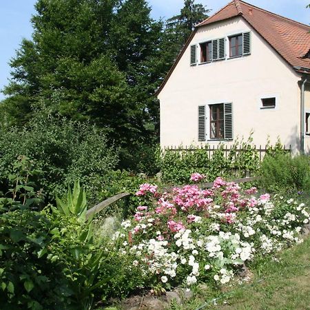 Poncet'Sches Herrenhaus Dresde Exterior foto