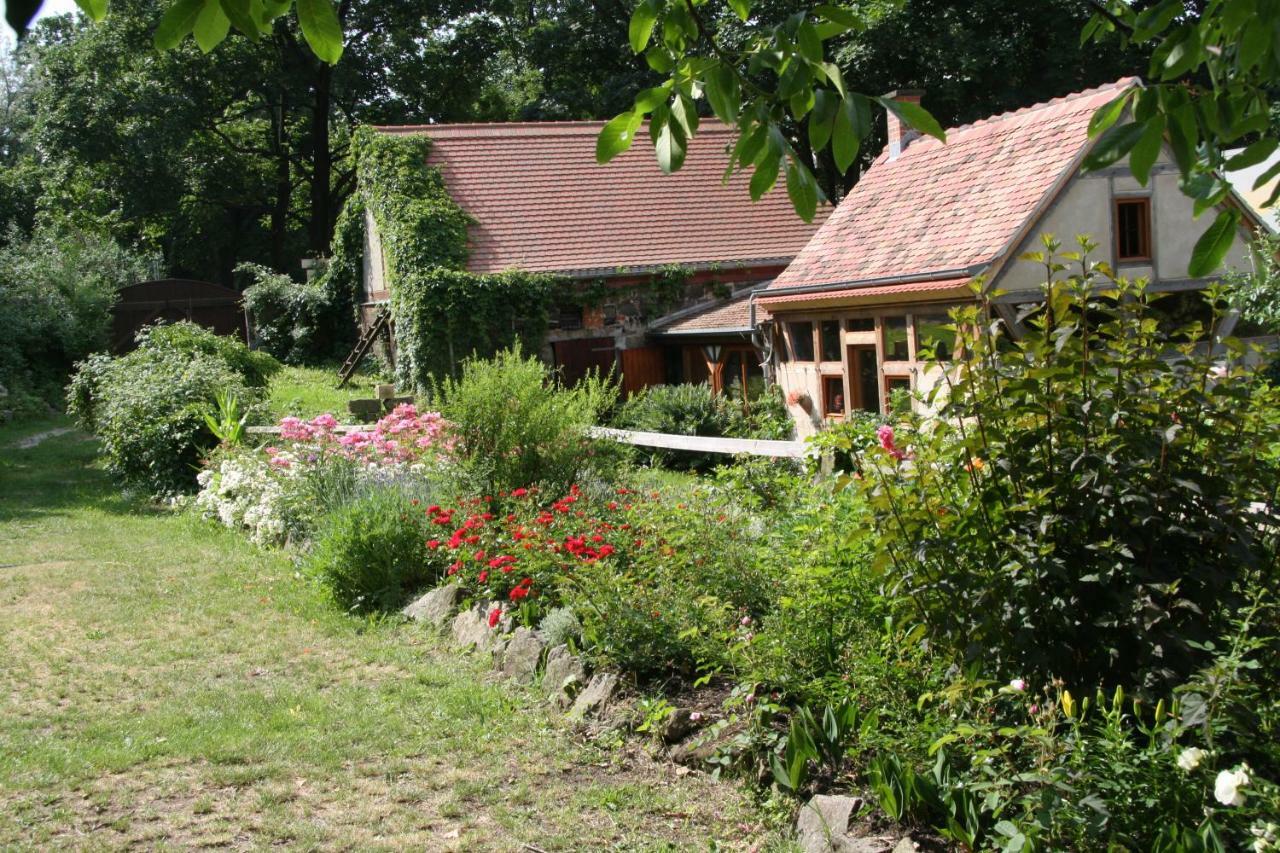 Poncet'Sches Herrenhaus Dresde Exterior foto