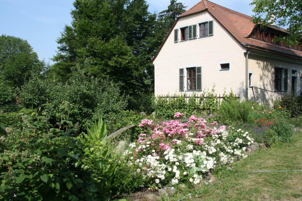 Poncet'Sches Herrenhaus Dresde Exterior foto